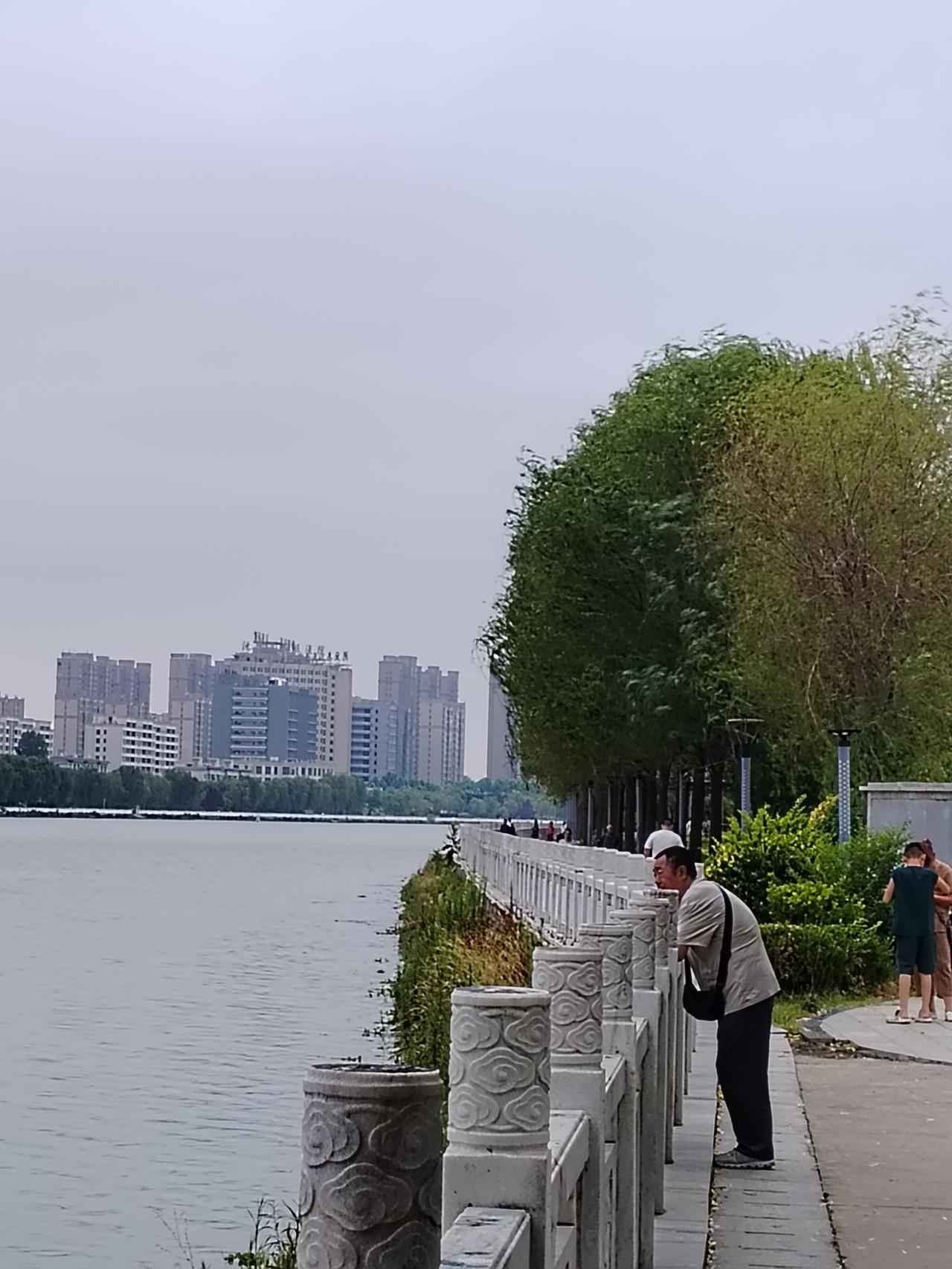 昨天下午天气很凉爽，没事就去了沙颍河滨河公园，看到初夏的美景，我拿起手机随手拍了