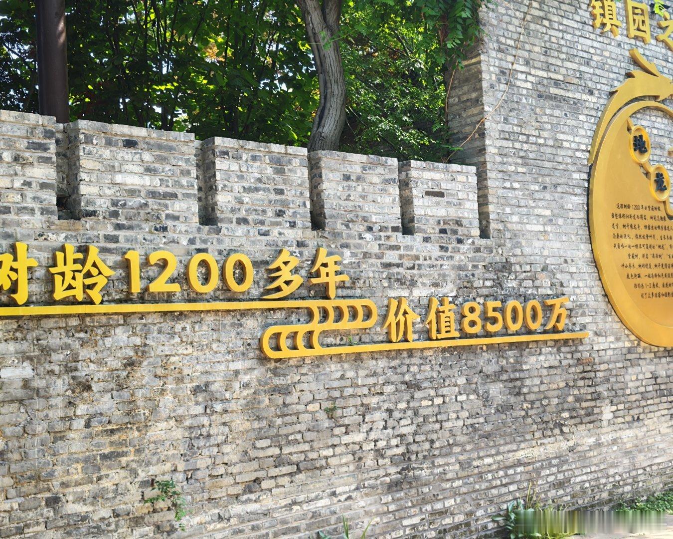 人间福地、世外桃源———朴园朴园 扬州·朴园