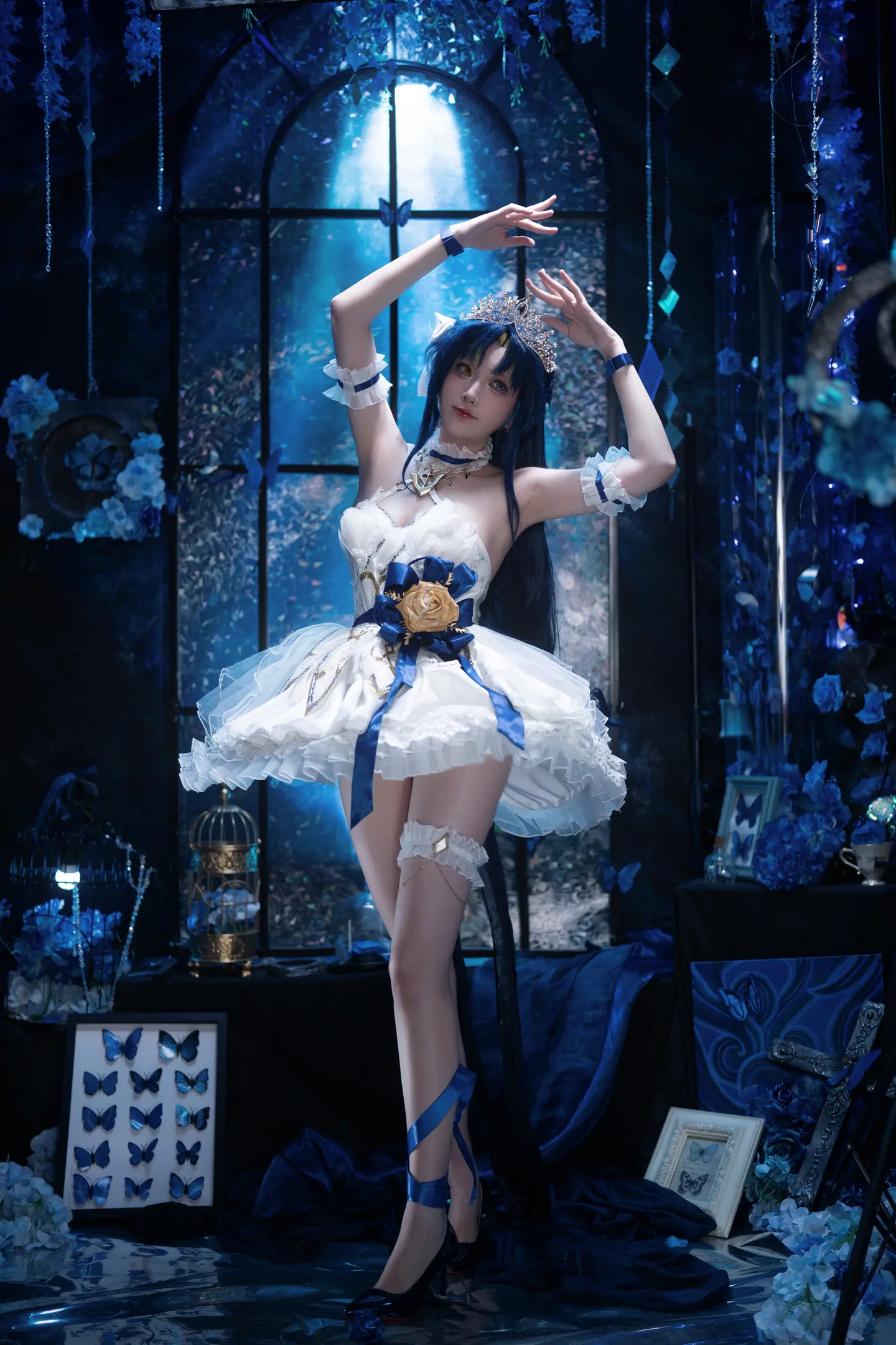 白天鹅🦢。   📷：  出镜：艾瑞