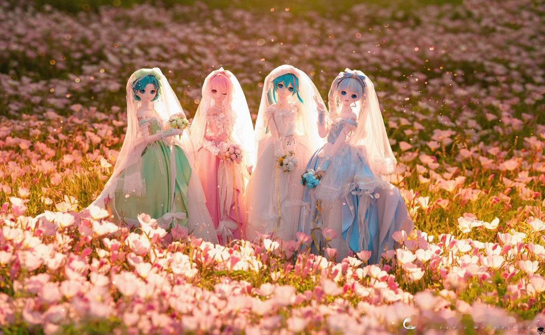 结婚结婚结婚结婚初音未来[超话] ​​​