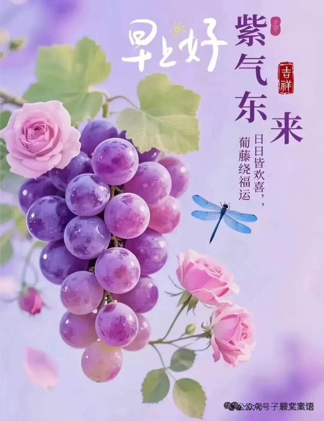 早安｜日子平凡，心有暖阳，便是最好的人生
 
一句早安，送走昨日的疲惫；一声祝福