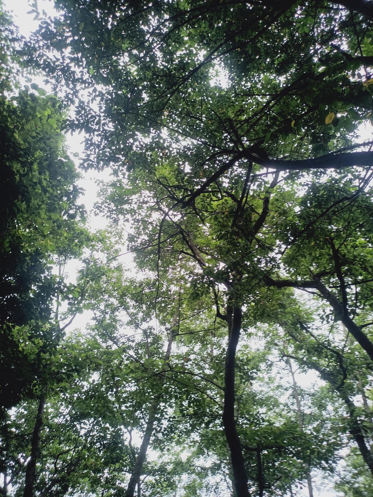 今日苍山
云南大理有哪些风景点?