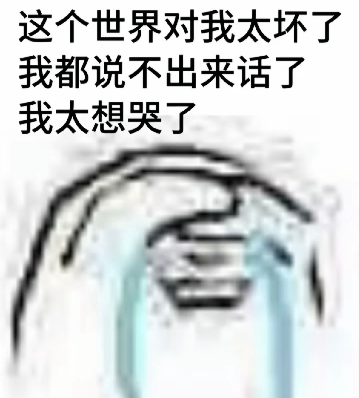 分享图片 ​​​
