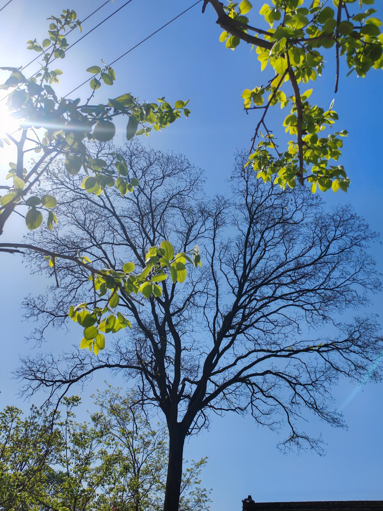 一直在思考一个问题，就是有人，上一秒还平和如常，下一秒就骤然发火，语气尖锐、态度