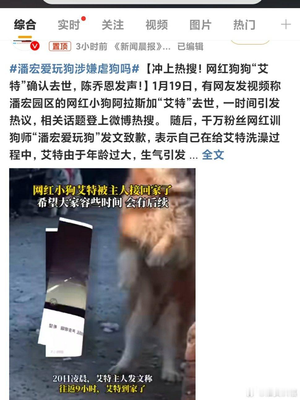 潘宏爱玩狗涉嫌虐狗吗 网红训狗师潘宏因其训狗方式备受争议，尤其是最近网红狗艾特在