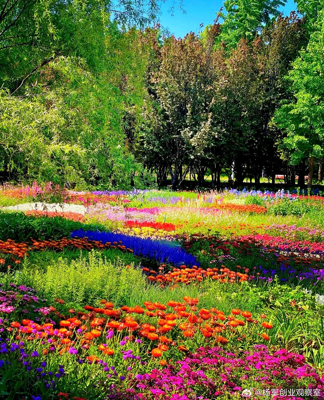 为什么“节能环保”是未来十年最确定的投资主战场？正经历一场从“政策驱动”到“市场