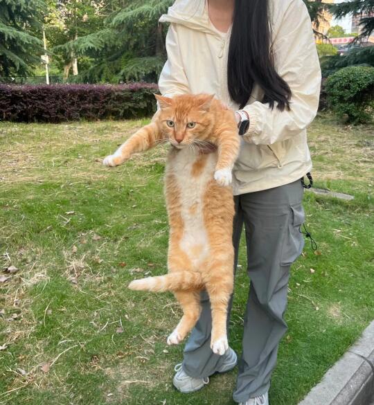 不是哥们…