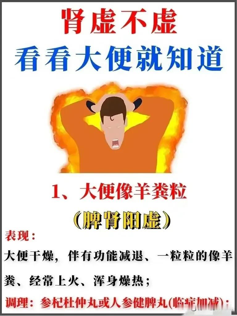 肾虚不虚，看看大便就知道

在繁忙的现代生活中，健康成为越来越多人关注的焦点。而