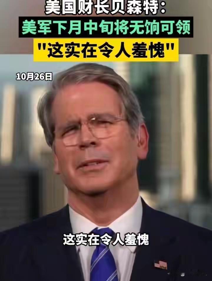 图片展示了一片辣椒植株，上面挂满了红色和绿色的辣椒，这主要呈现了自然和农业景象，