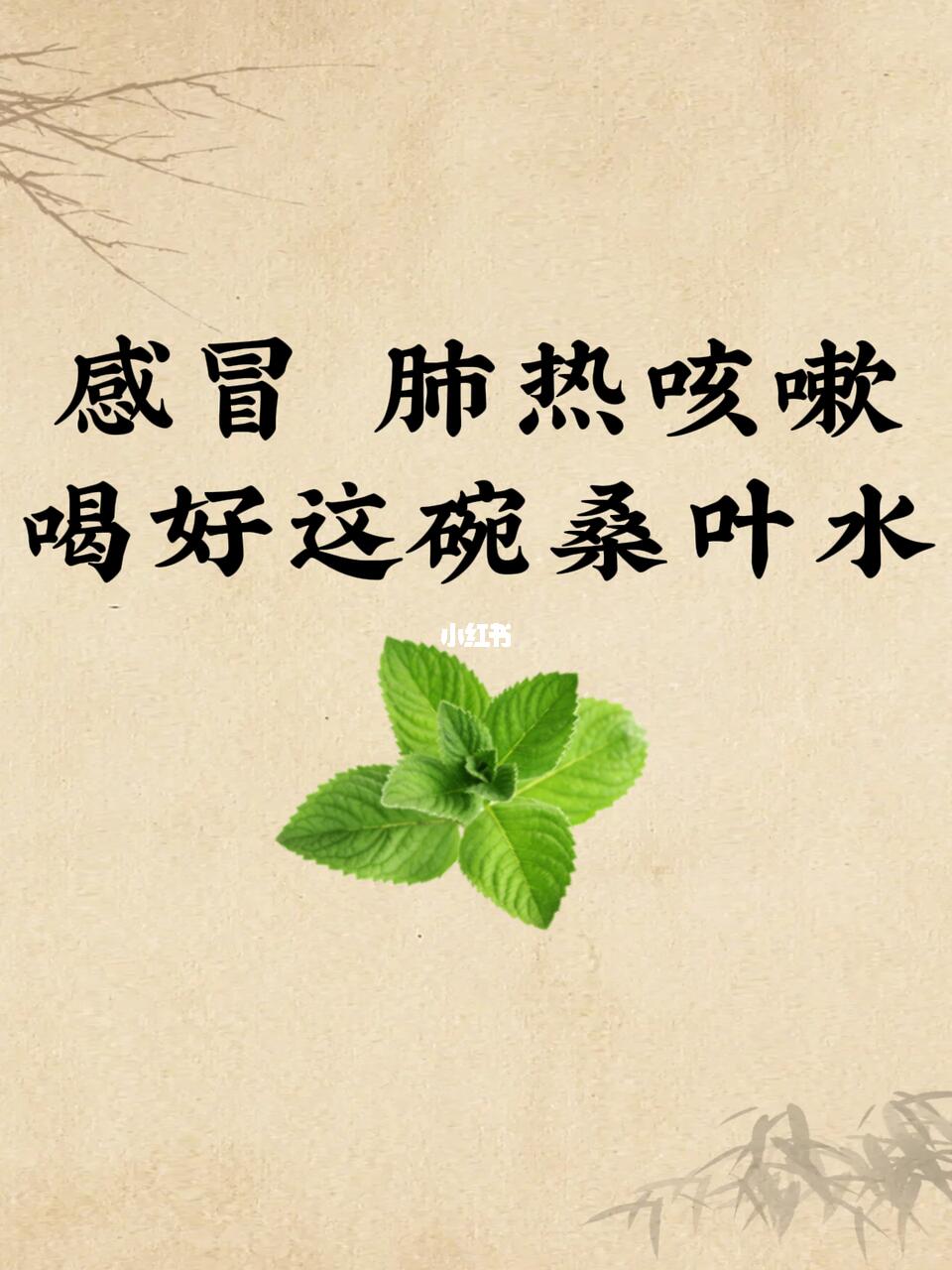 3款药膳吃出呼吸自由