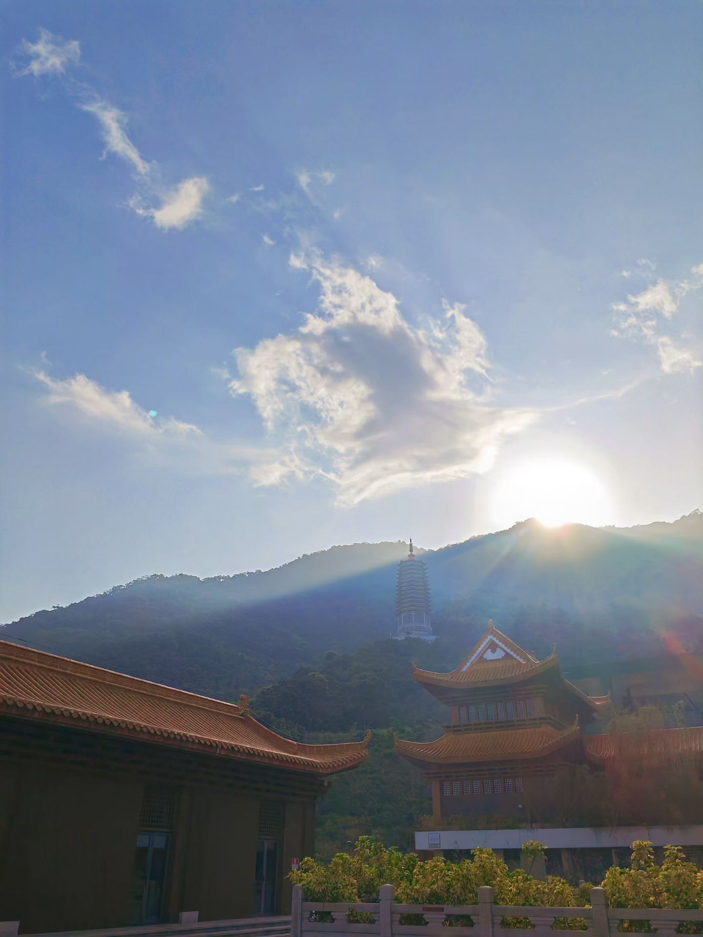 站在属于自己的高度，看自己该看的风景，别让任何人和事消耗你内心的清朗。 早安！ 