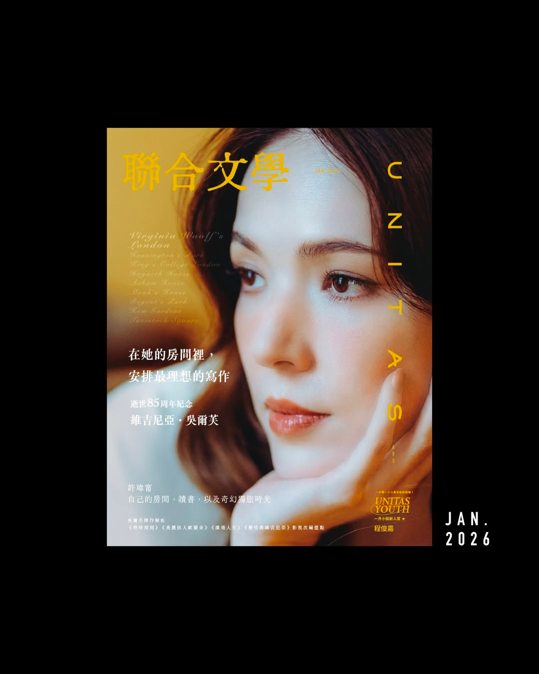 许玮甯 联合文学封面 