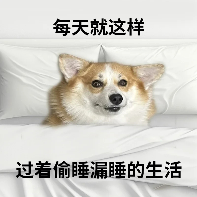 后天的努力很重要，那今天和明天休息 