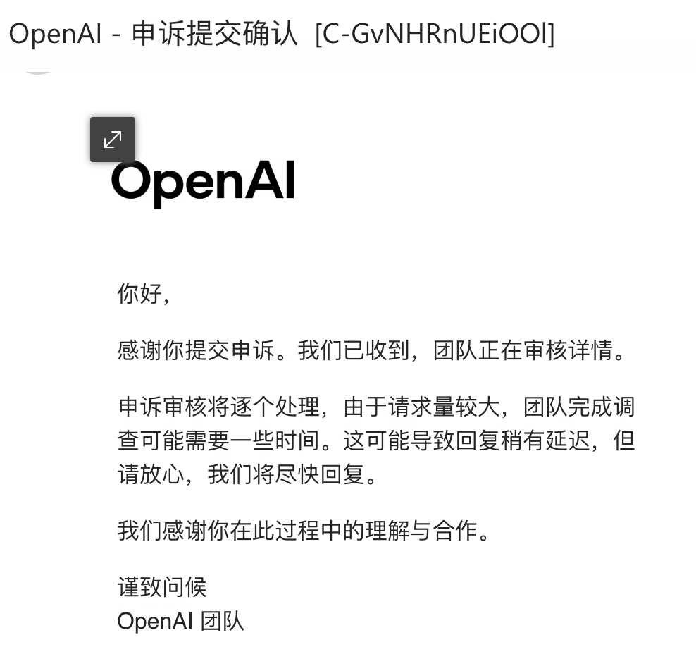 OpenAI，你真的让我无语
早上一看OpenAI账号被封了
天塌了
立即点击申