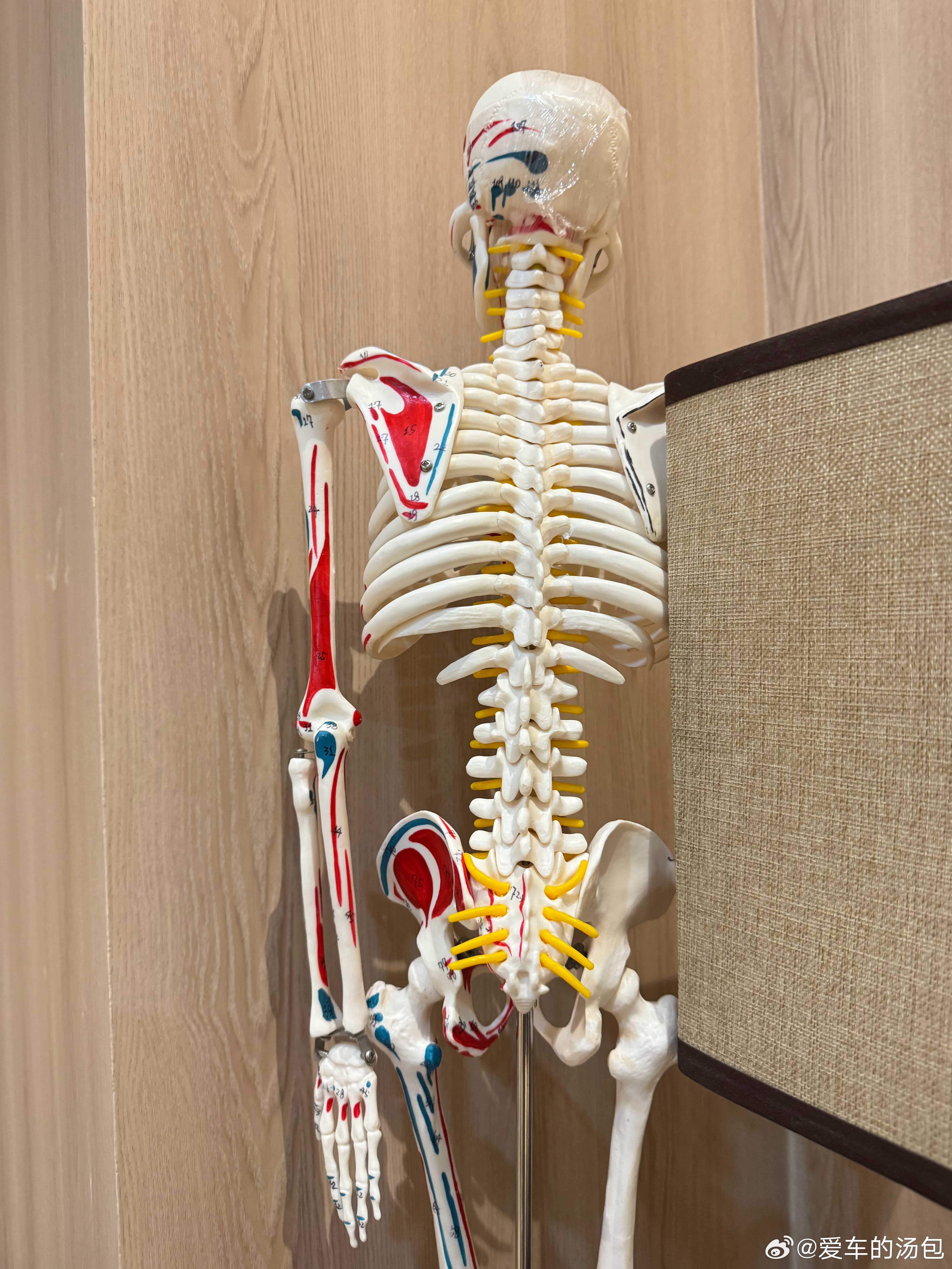 普拉提怎么不算康复理疗呢，我说我胯骨疼，指了指骨架子模具的部位，真就给我安排了好