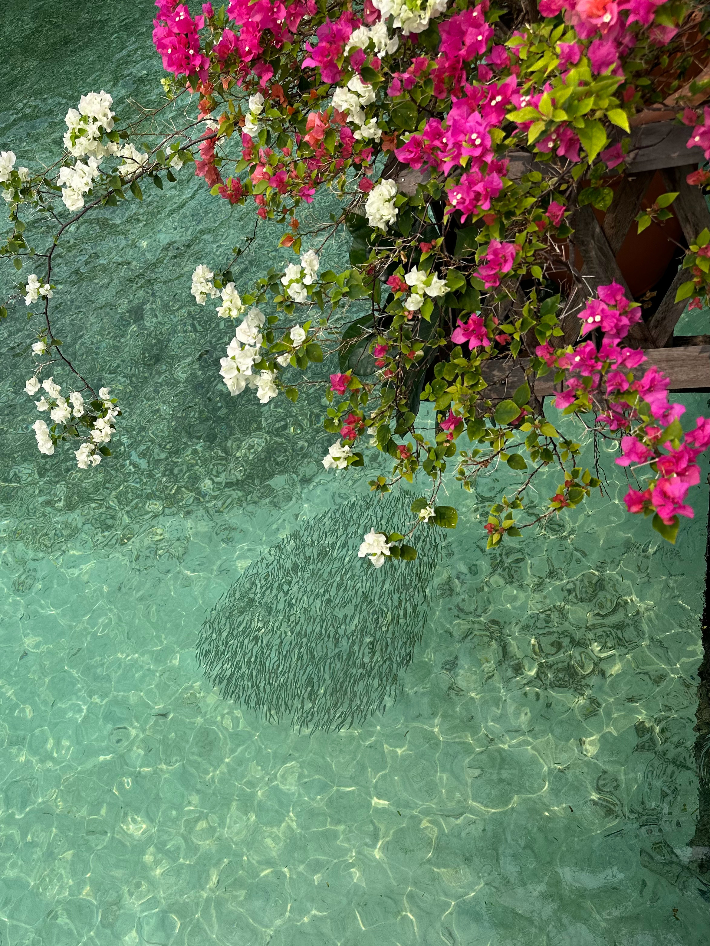 水屋好美🙊 ​​​