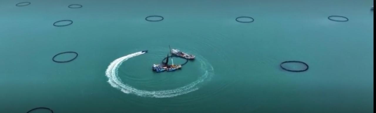 我国海洋经济稳步发展，深蓝产业持续释放活力。从繁忙的港口航运到高效的海上养殖，从