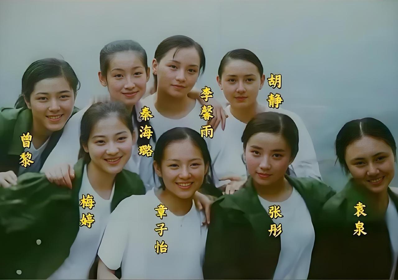 一张张胶原蛋白充盈的脸庞
透着未经雕琢的灵气。
章子怡眉骨微扬的倔强，
梅婷眼波