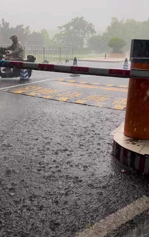 深圳暴雨 坏雨知时节[黑线]深圳的雨只在通勤路上下，只在周末下你在家和在公司的时