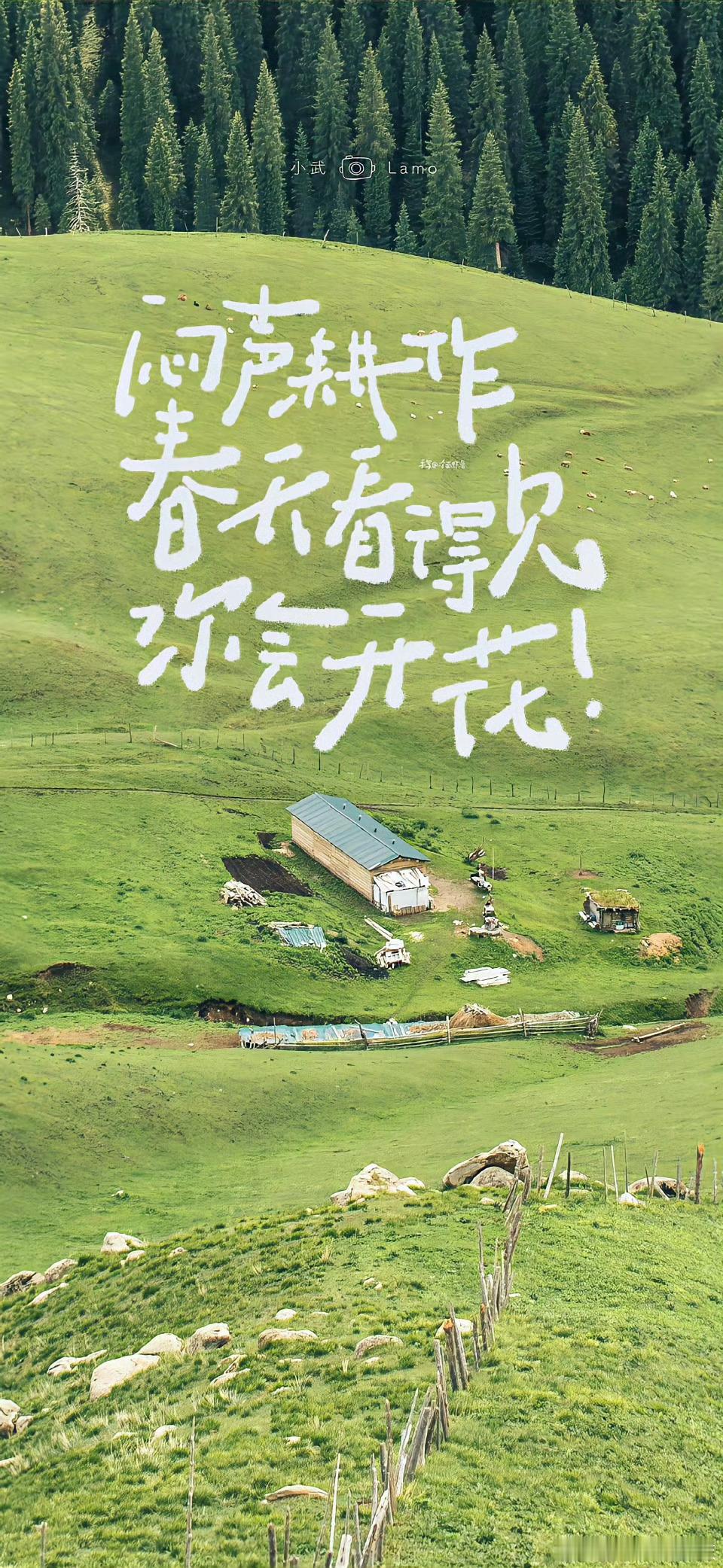 适合春天的小清新手机壁纸