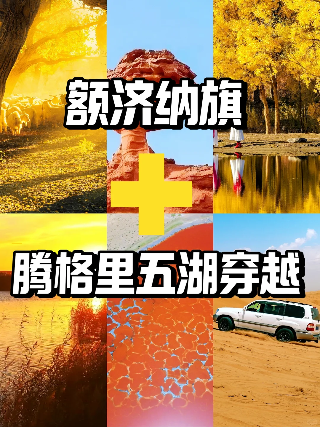 额济纳+腾格里沙漠🧡胡杨林国庆小众玩法