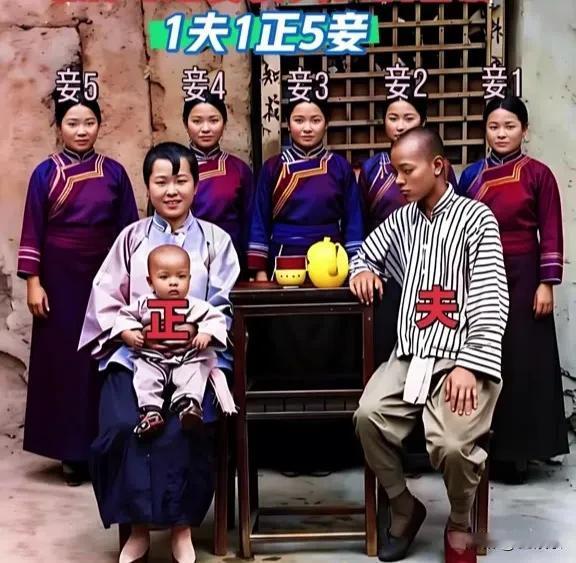 深宅旧影，六女伴一君，红墙锁住半生浮沉。
名分分高低，情意无均等，庭院里藏尽多少