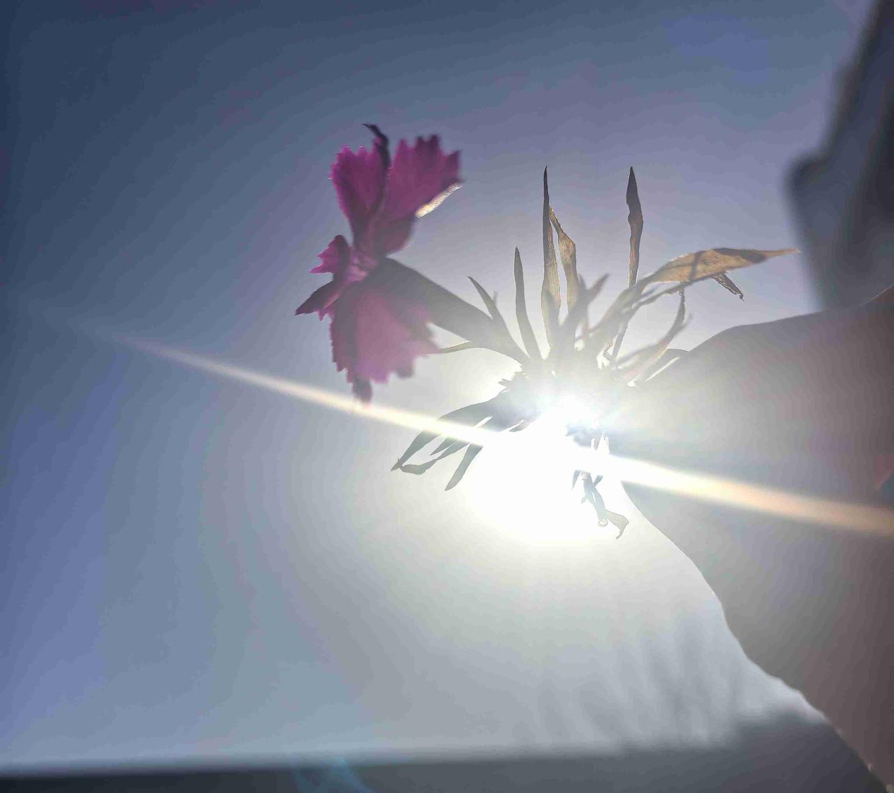 我的今日状态：😭伤心难过
我这里的天气：☀️晴天