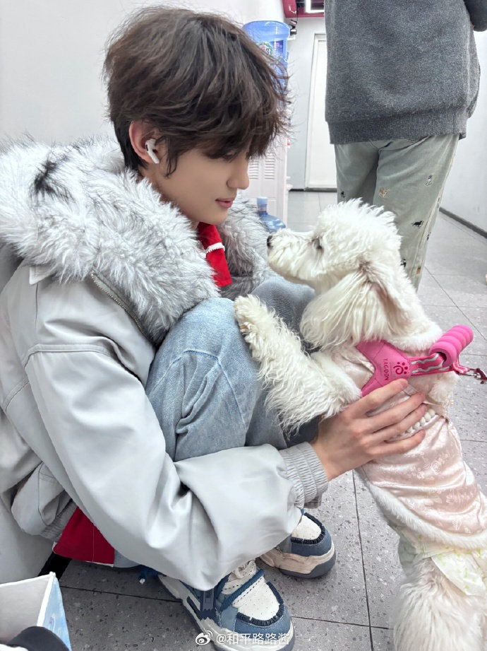 两萌物对视，谁是最萌的呢？2026PEL春季赛 2026PEL