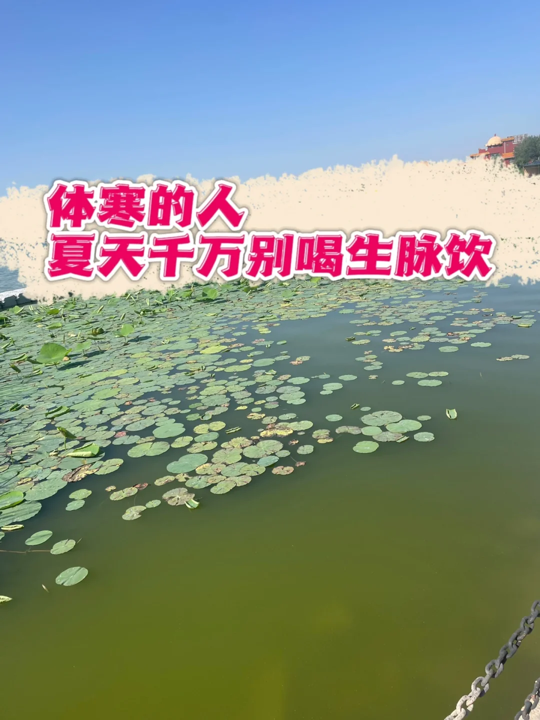 体寒的人，夏天千万别喝生脉饮.