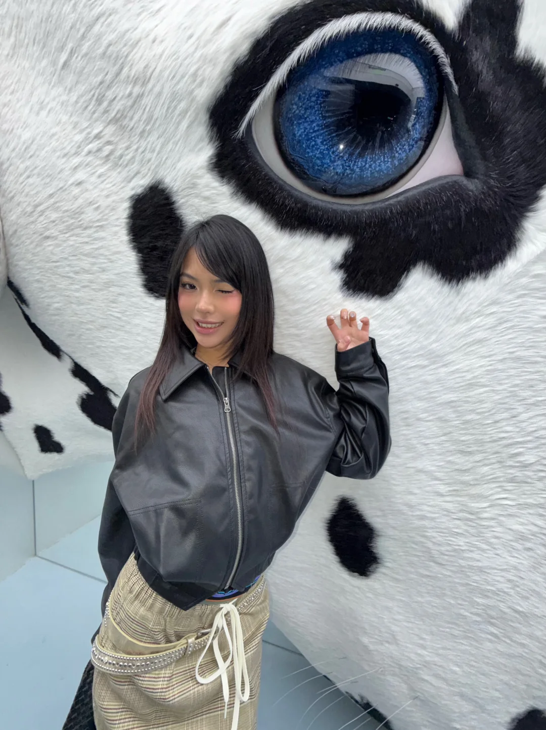 其实斑点狗是我的梦中情狗