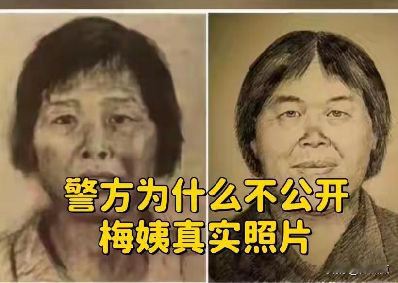卖小孩是那个“梅姨”，到现在都没公布真实面貌，很多人都急了：为啥不公布？其实，不