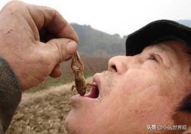 这是个狠人啊！2007年，江西彭泽一男子，嗜好生吞活蛤蟆，这个习惯竟保持20多年