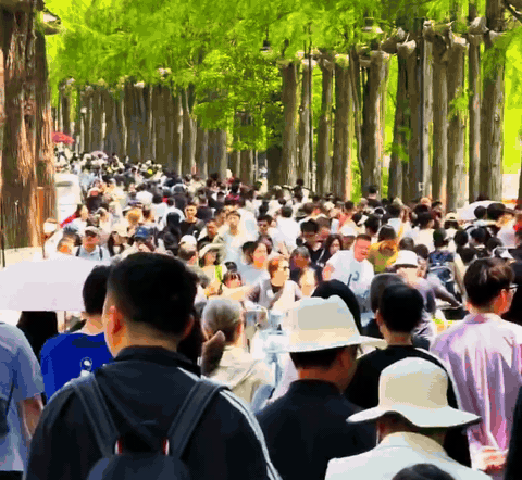 这就叫“始于颜值，陷于才华，忠于服务”吧？不得不说，这条街是真会做生意，人气好很