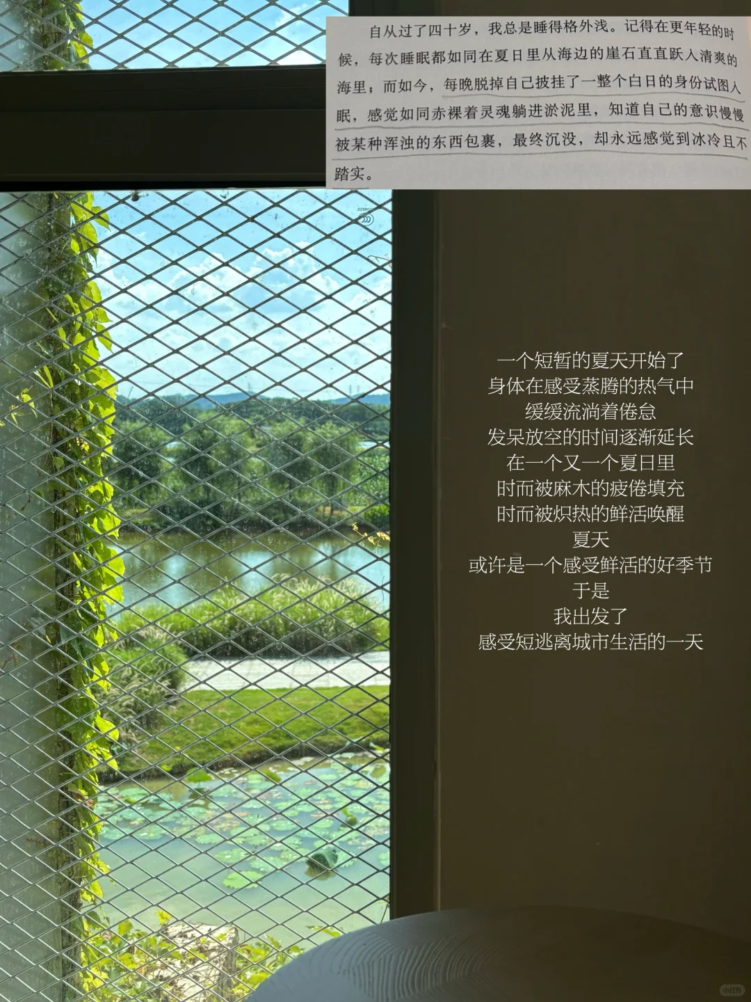 短暂的夏日，感受身体的休憩，感受鲜活的生命