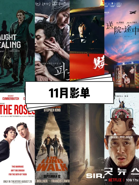 跟我一起看电影：2025年11月影单🎬