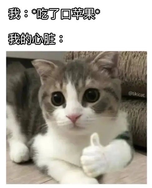 动物奇遇记动物奇趣  每只猫都在演我！吃苹果时心脏点赞，回消息被打电话皱眉，公厕