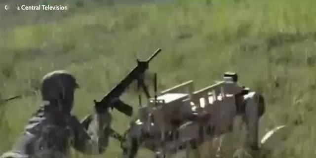 美国空军北方司令部指挥中心主任贾哈拉·“弗兰基”·马蒂塞克中校：
“它们（机器狼