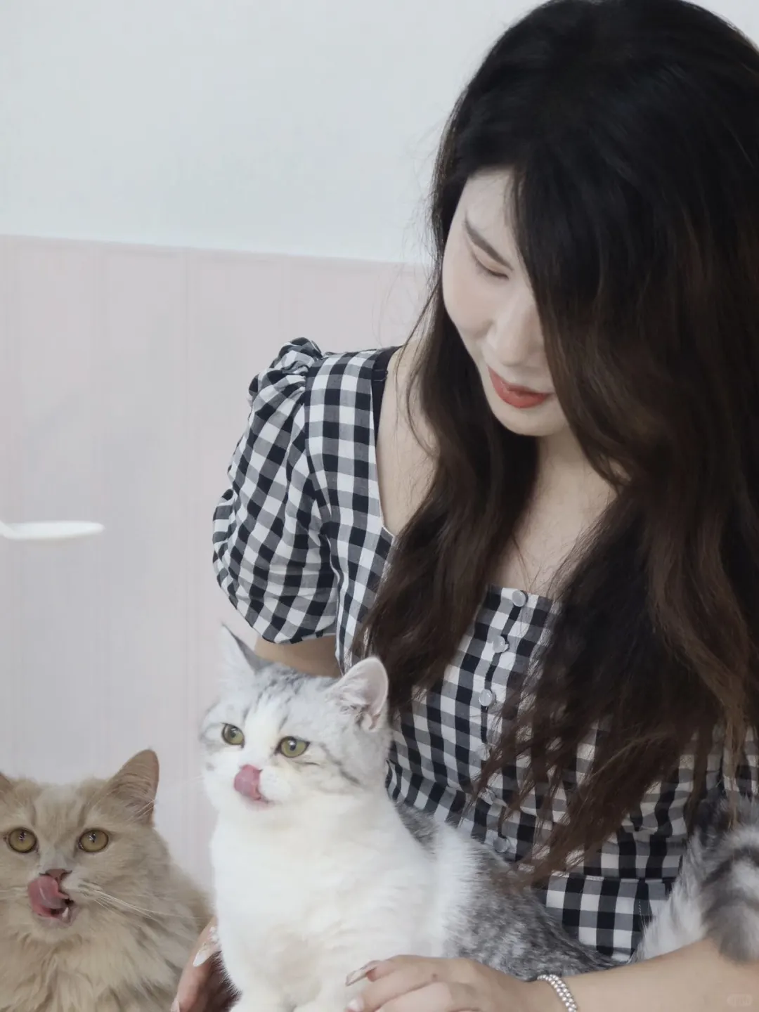 和矮脚猫猫🐱的午后快乐时光