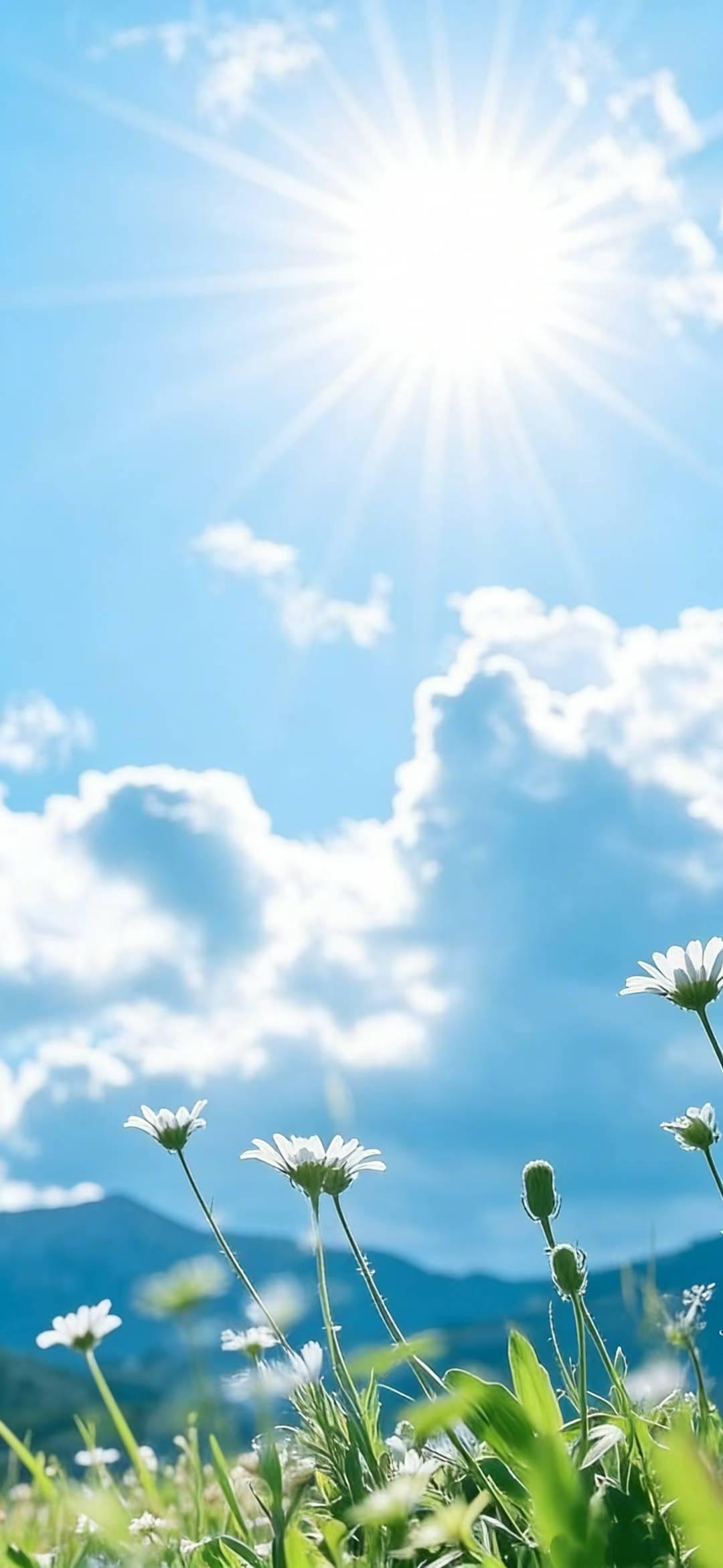 阳光洒满花海，美好在阳光下绽放