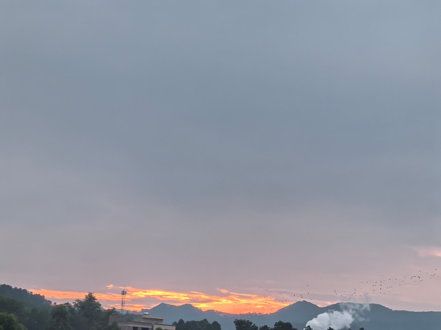 早啊，今天早上拍的日出与炊烟~ ​​​