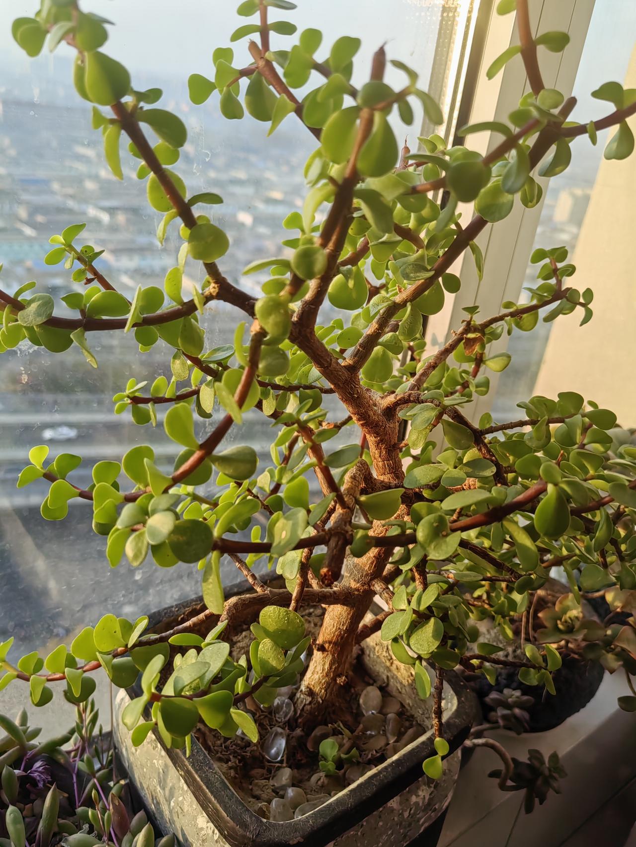 人老了靠谁？不是子女不是钱，答案藏在诗句里

——暮年养老歌
 
老来莫叹依靠难