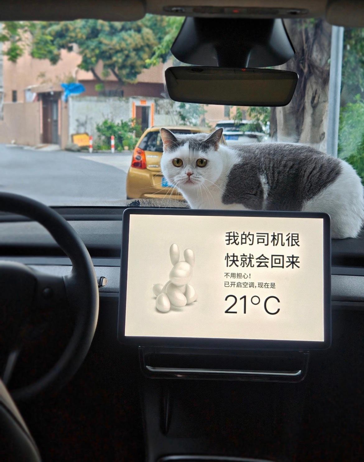 特斯拉的这些空调隐藏功能都知道么❓✅空调分区：长按空调温度左右滑动能直接调节温度