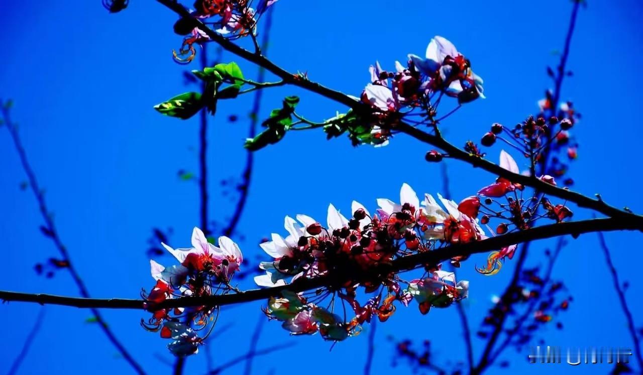 你认为行善积德是否会有回报?
人这一辈子
多做点好事
多积点德行
不一定马上就有