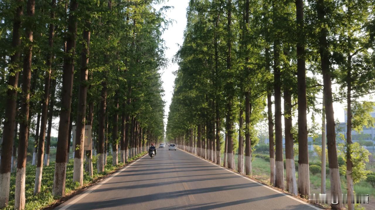 江苏邳州，小孩甲沟炎复发，到邳城镇卫生院挂号看病，特意问了挂号的人，甲沟炎挂内科