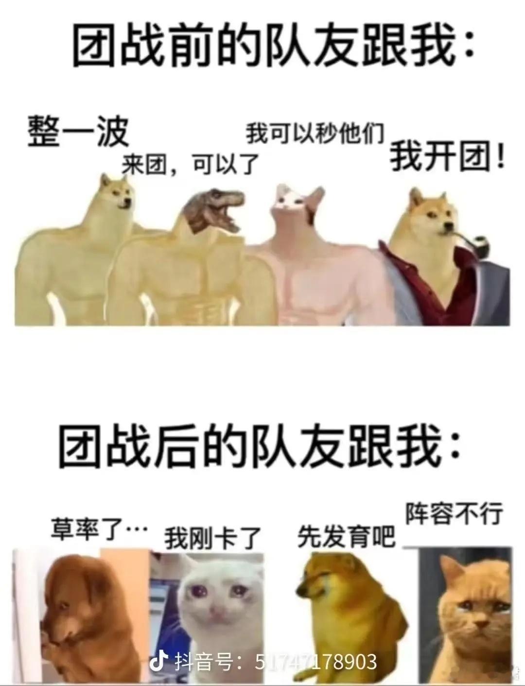团战前后的队友状态对比，太形象了！dota2 dota ​​​