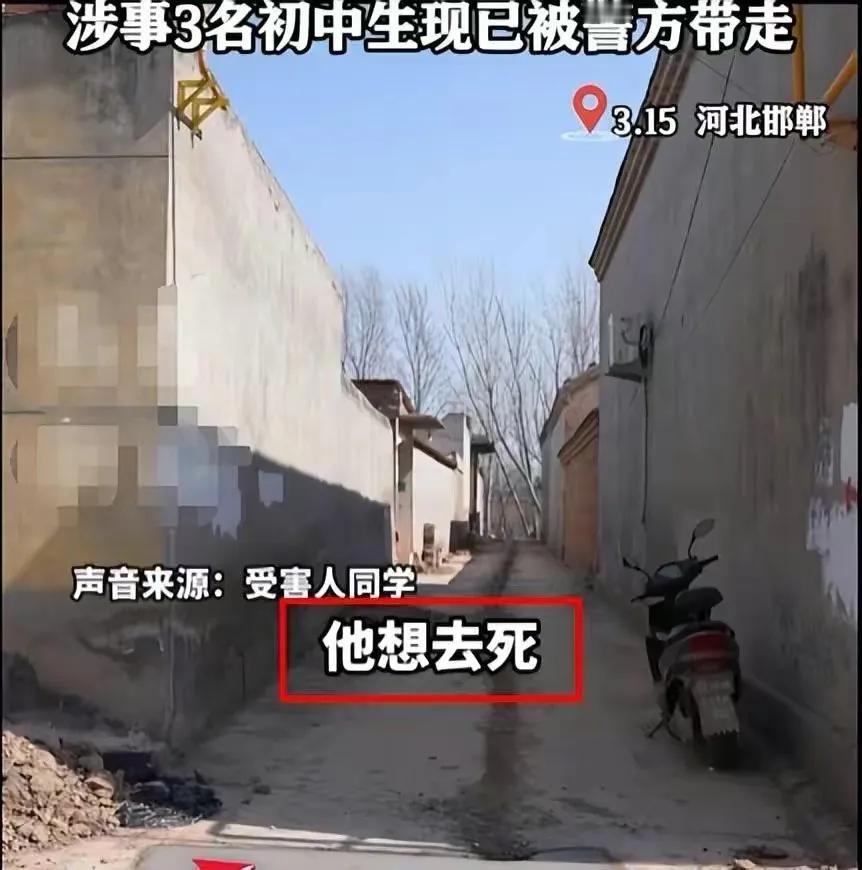 邯郸肥乡遇害孩子的校长，目前并没有官方通知停职的消息，有记者报道3月19日上午，