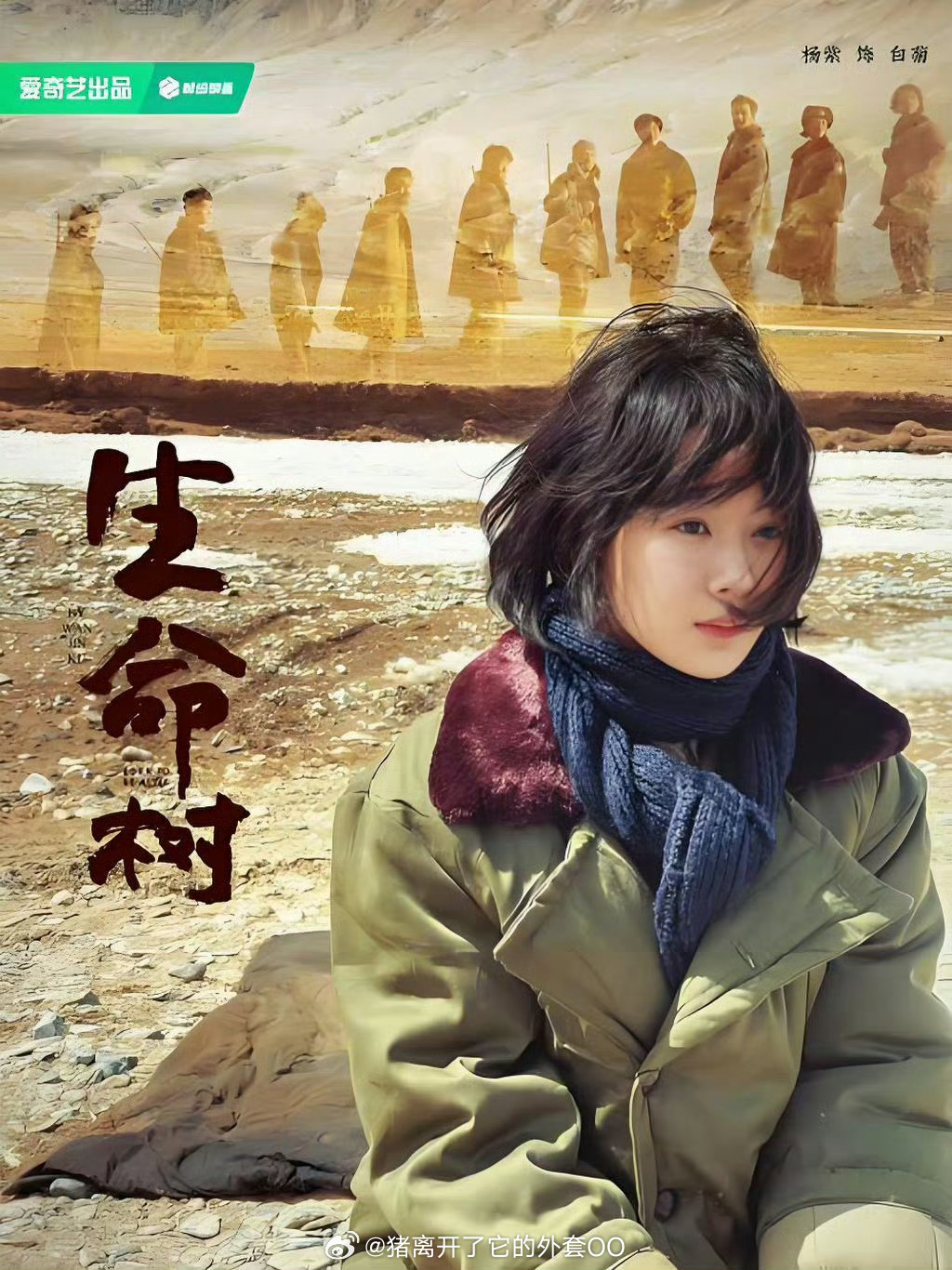 白玉兰最佳女主角：杨紫《生命树》，哇恭喜🎉