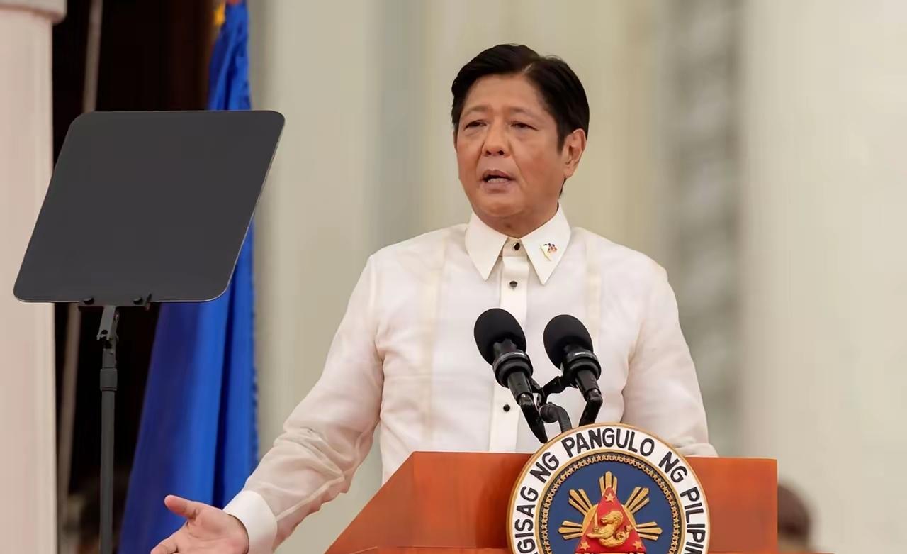 我会严格保留你指定的原文首段，结合菲律宾最新宣布能源紧急状态的权威实况，用重度口