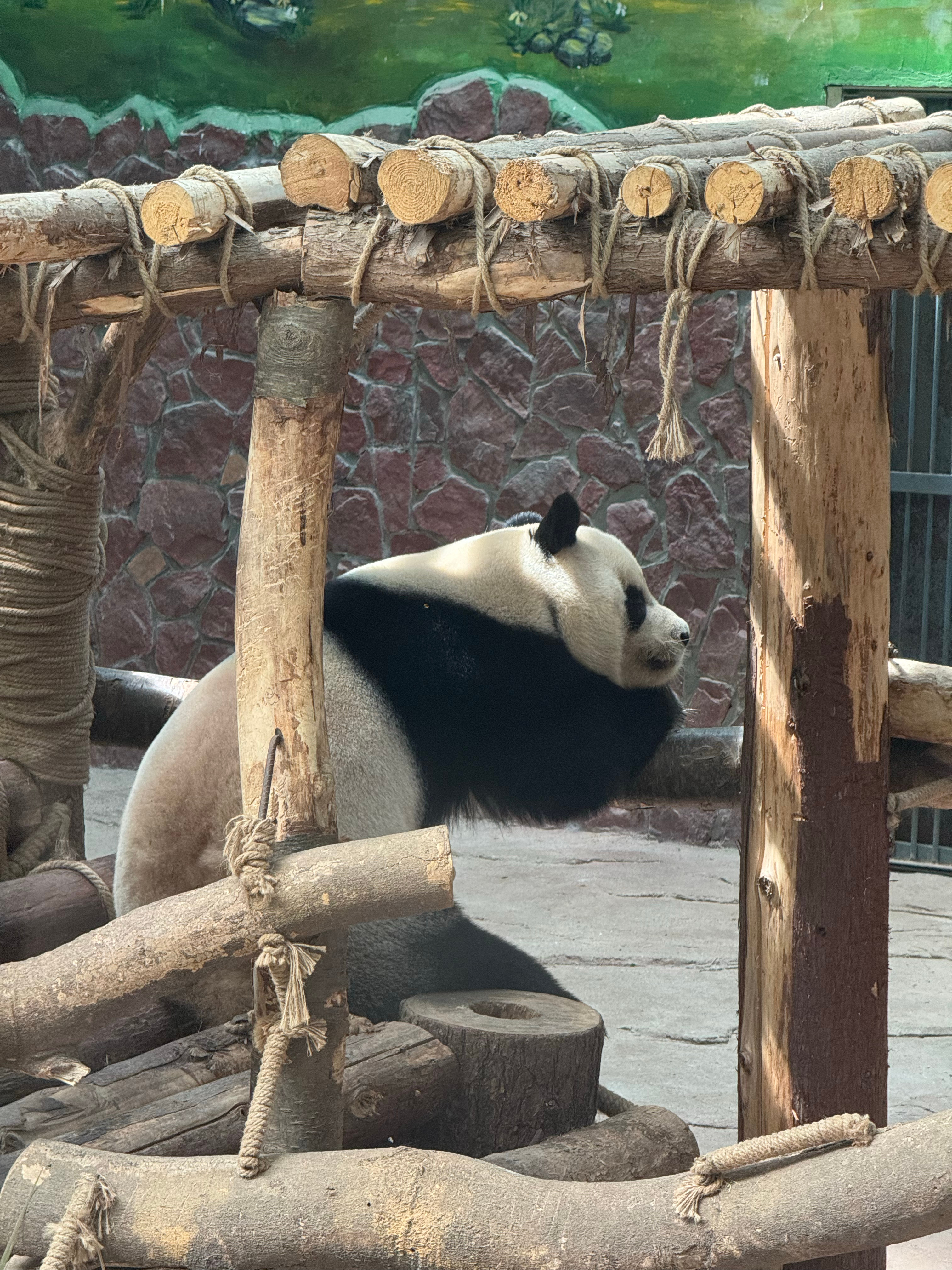 来贵阳必逛黔灵山，免费逛公园，看野生猴子看大熊猫，爬爬山、逛黔灵湖、看弘福寺，空