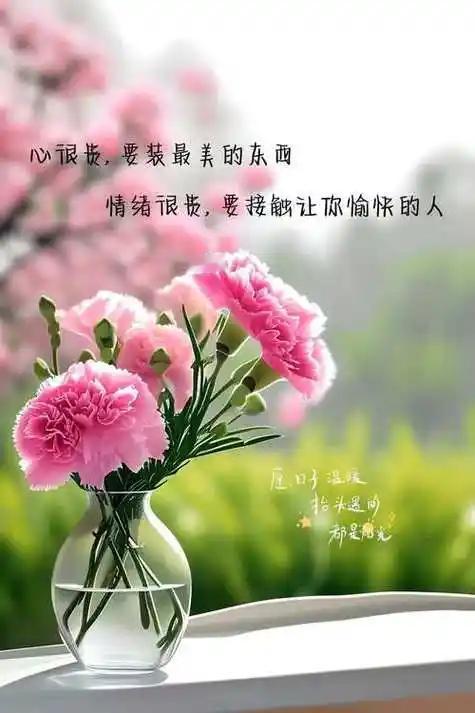 闲随日月寻清趣，
静与诗书伴晚晴。
自在优雅行尘路，
流年无恙梦长青。
 
看淡